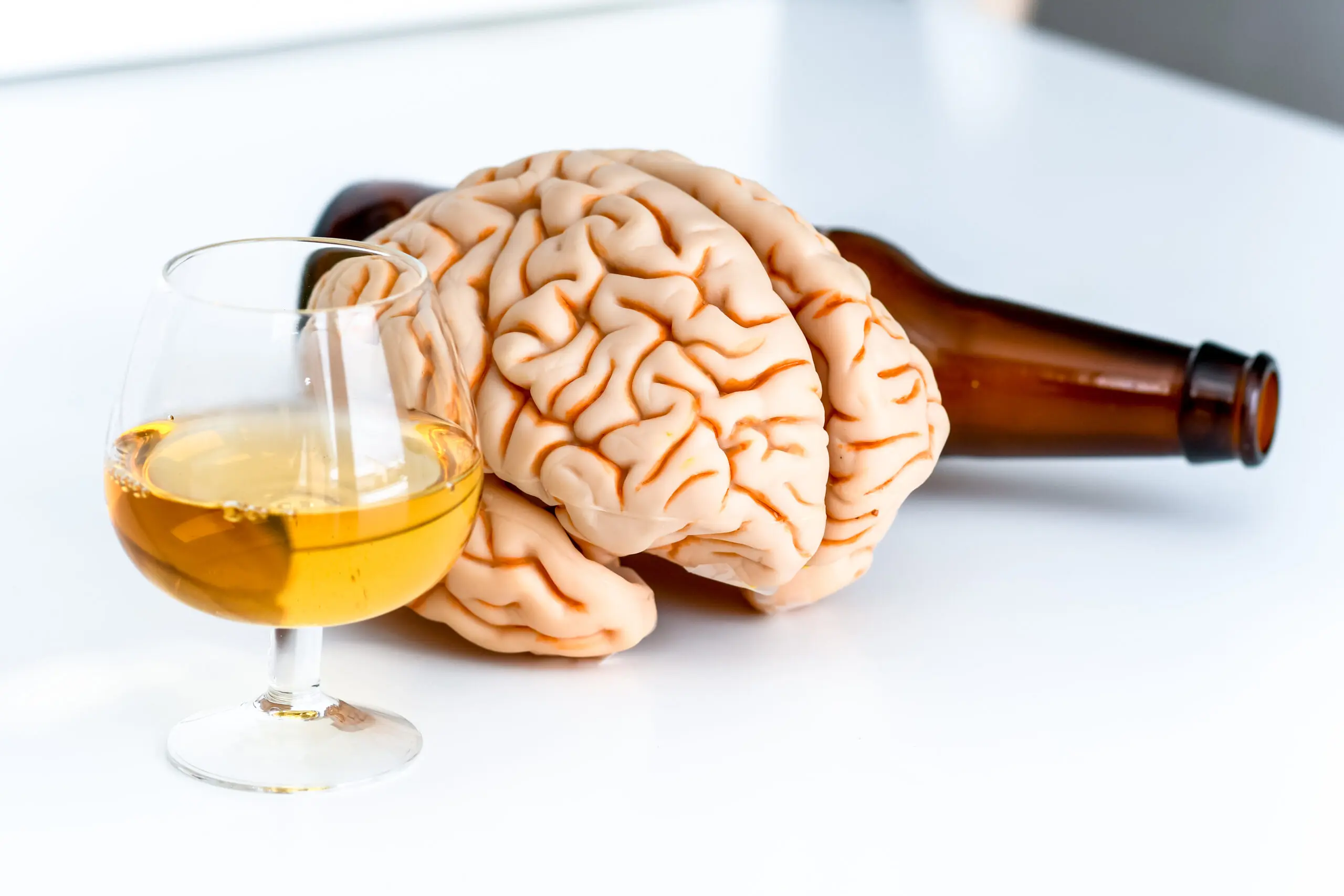 Alcohol Health Effects on the Brain